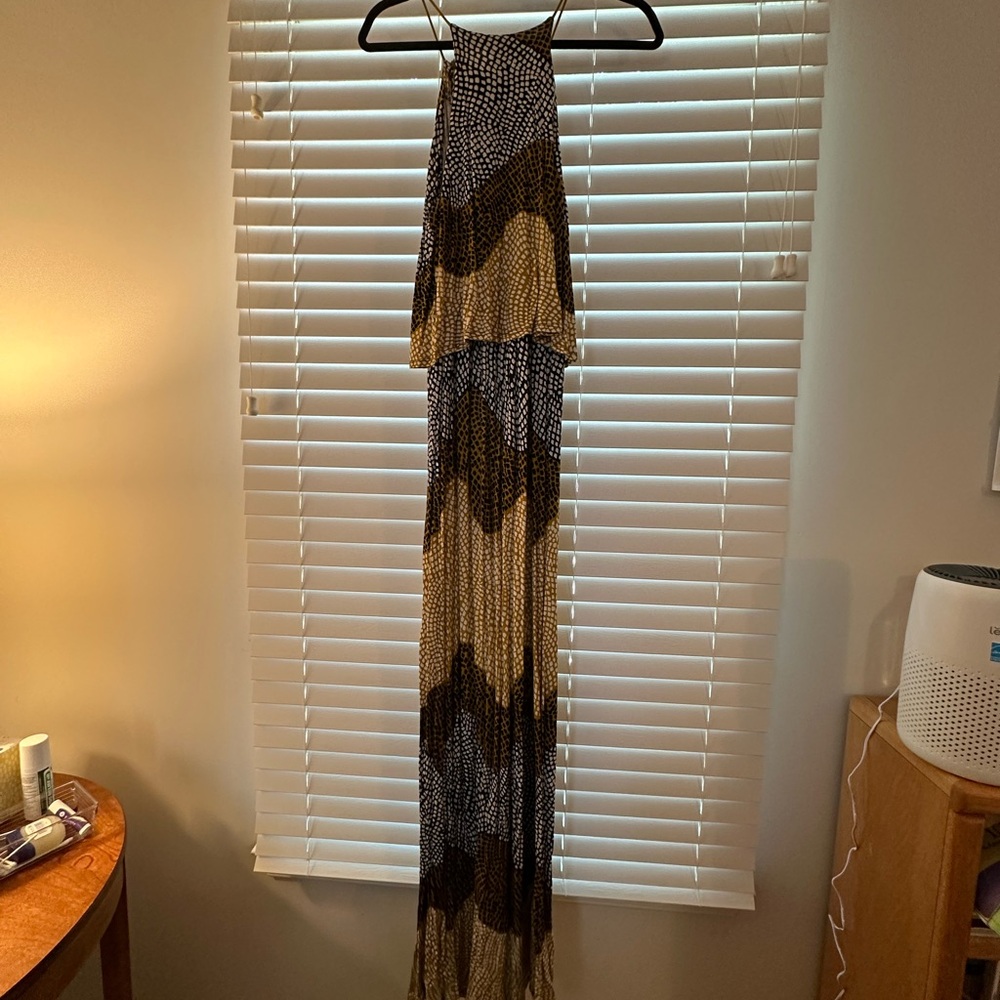 H&M Black and Gold Maxi Dress
